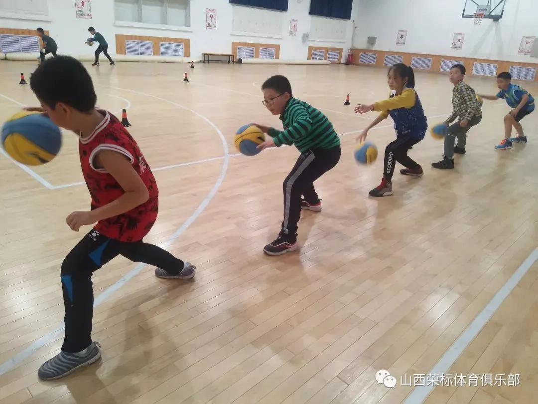 为什么篮球教练的经验很重要_2