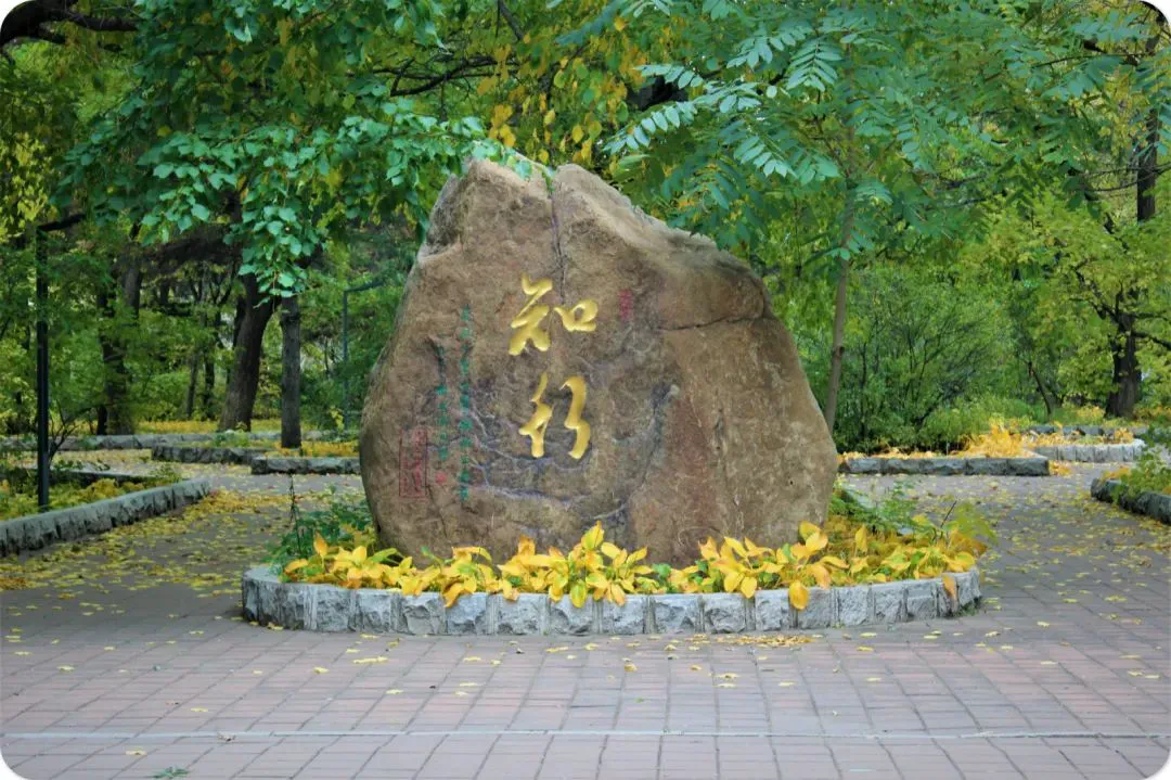 制定篮球交流计划以促进个人技能发展的方法_2